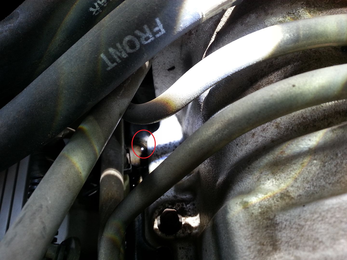 L67 manifold gasket oil and air leak Just Commodores